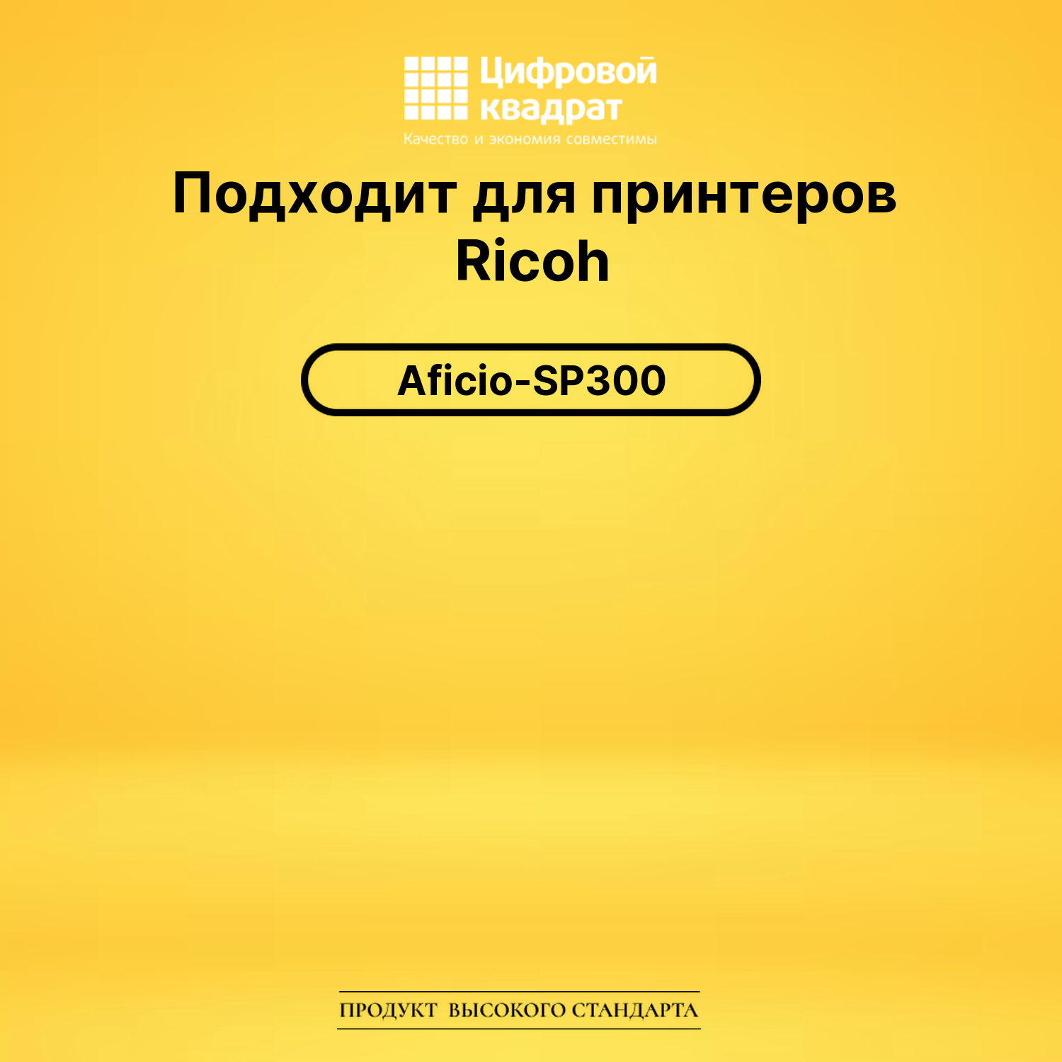 Картридж SP-300 для Ricoh SP300 черный 2