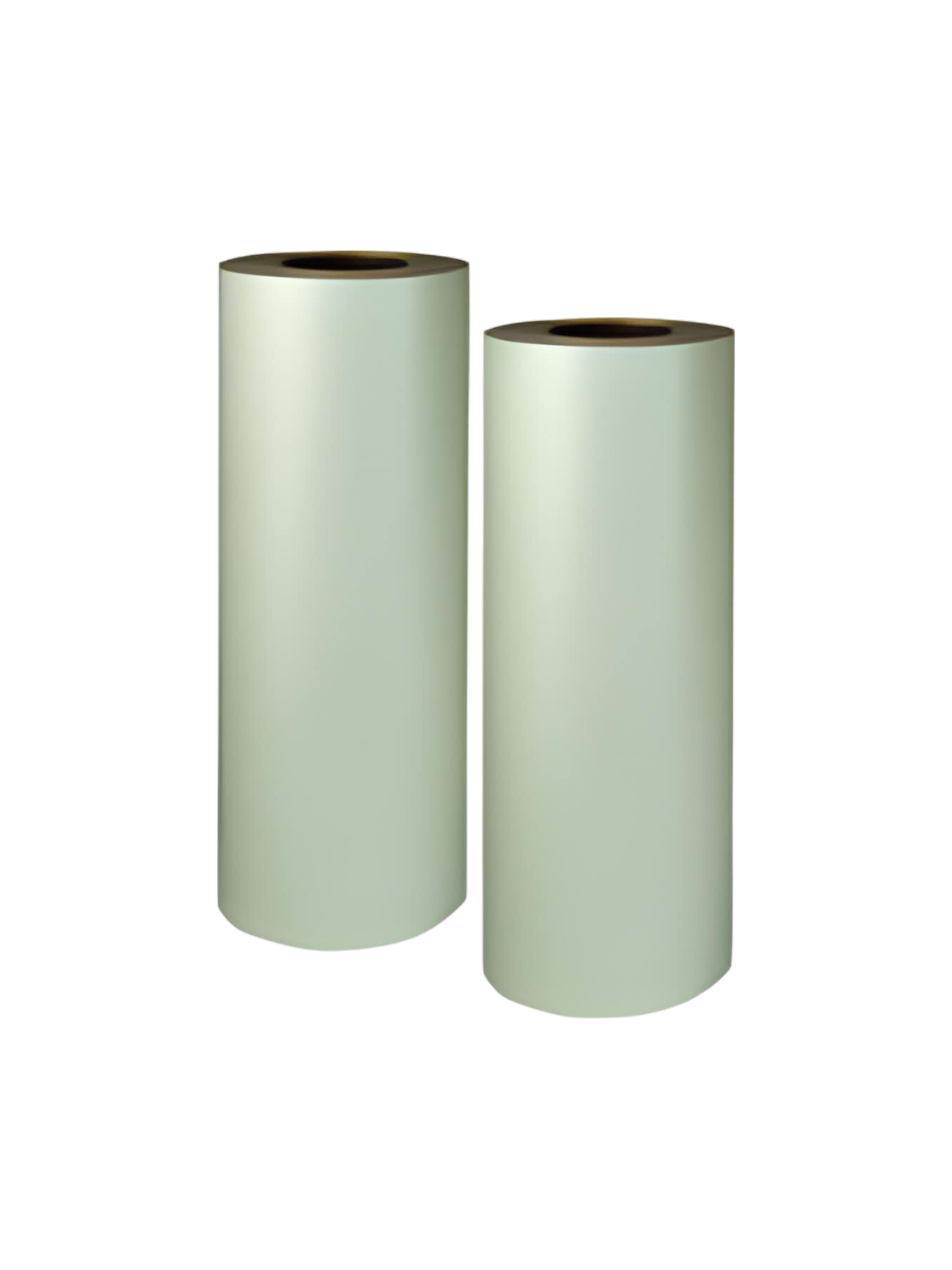 Мастер пленка VT-II-S Ricoh 1