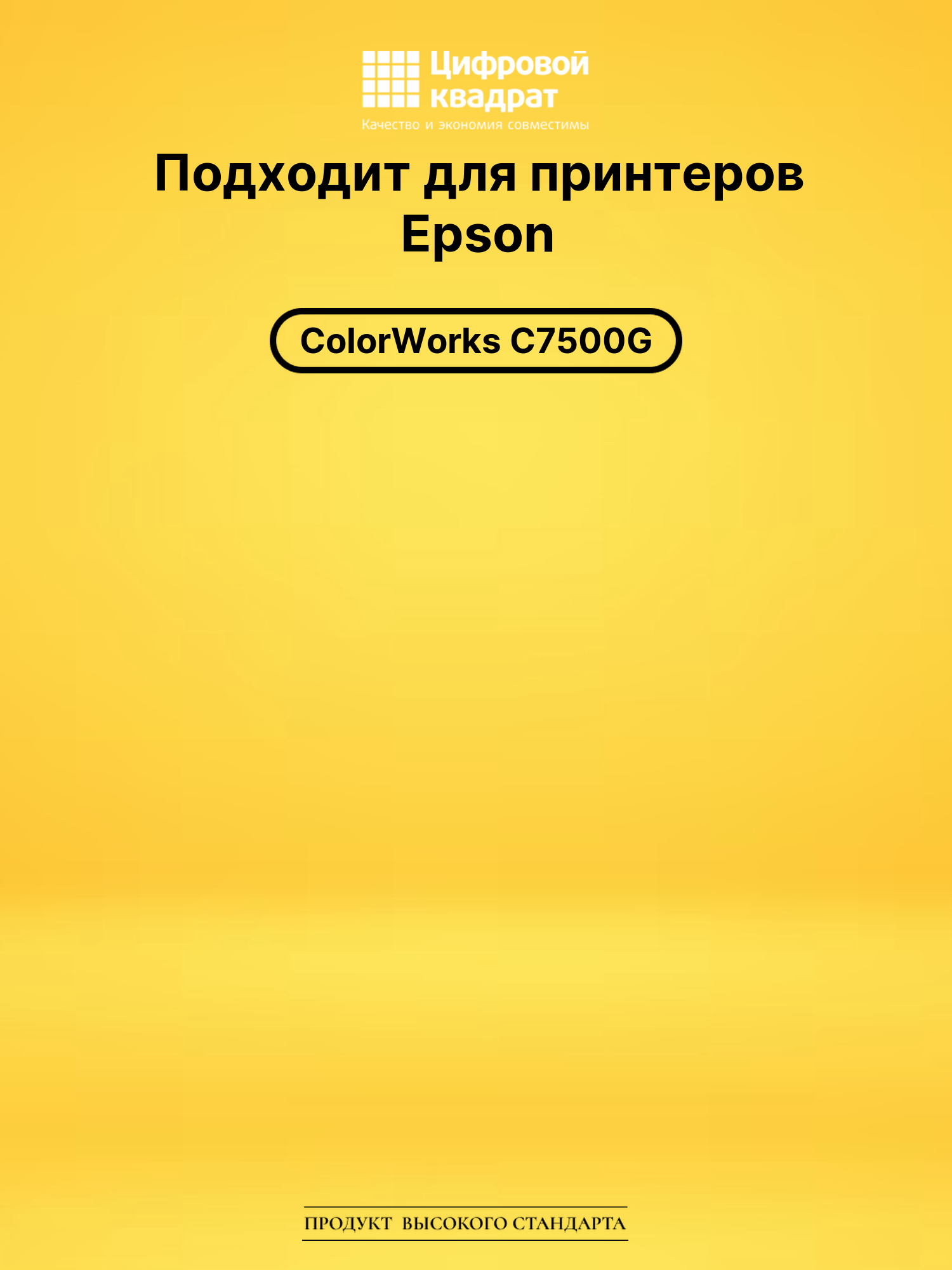 Картридж DS SJIC30PBK Epson черный 2