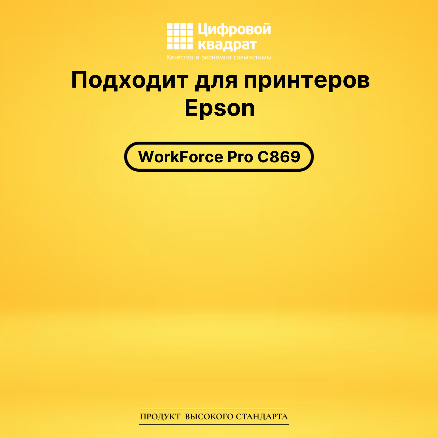 Картридж DS T9731 Epson черный 2