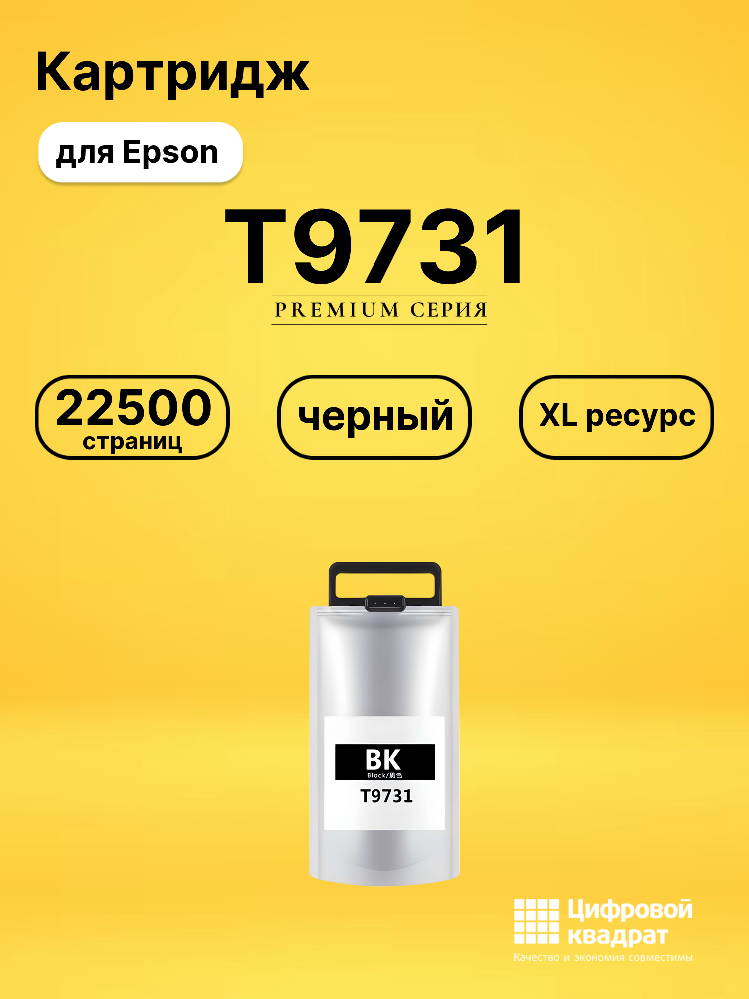 Картридж DS T9731 Epson черный