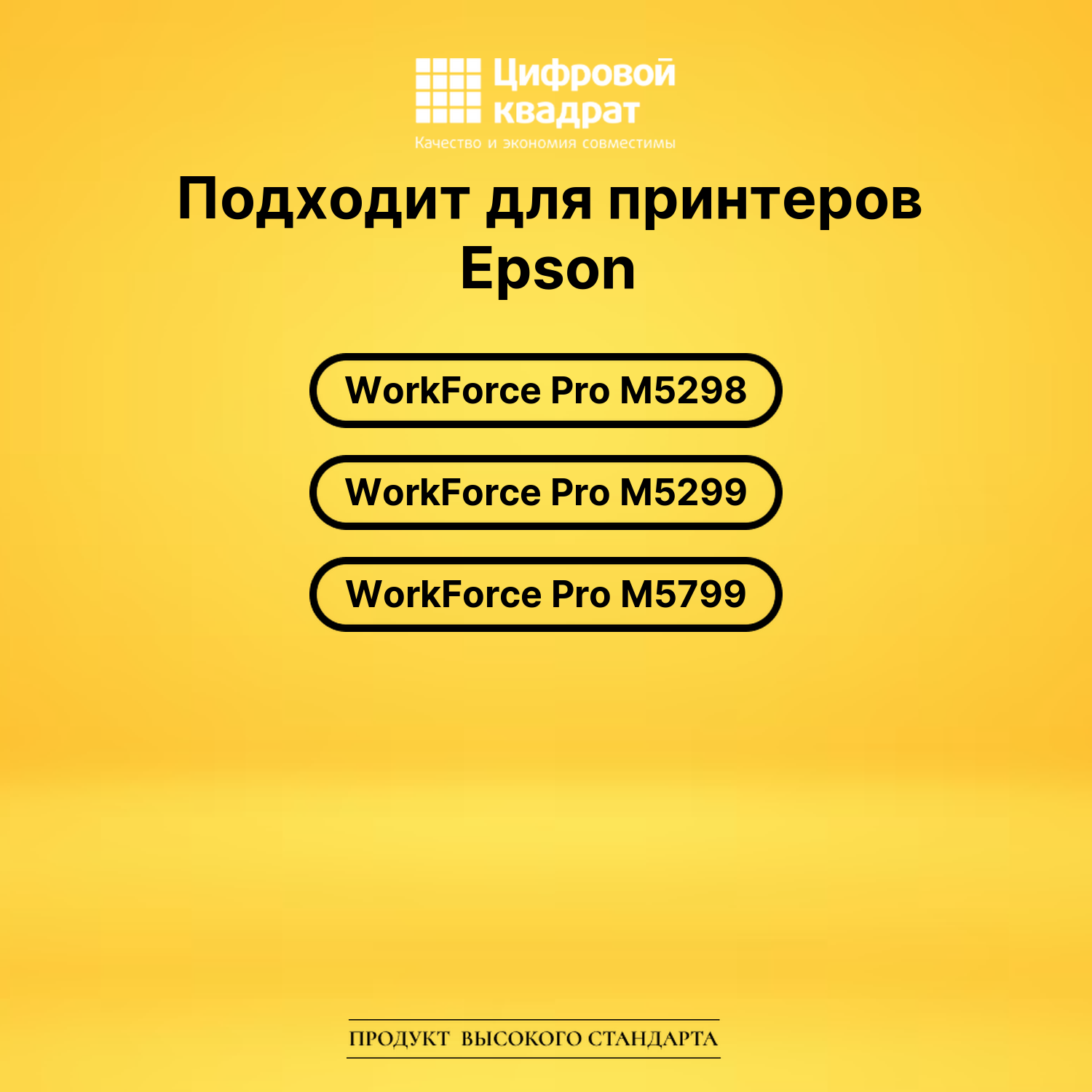 Картридж DS T9641 Epson черный 2