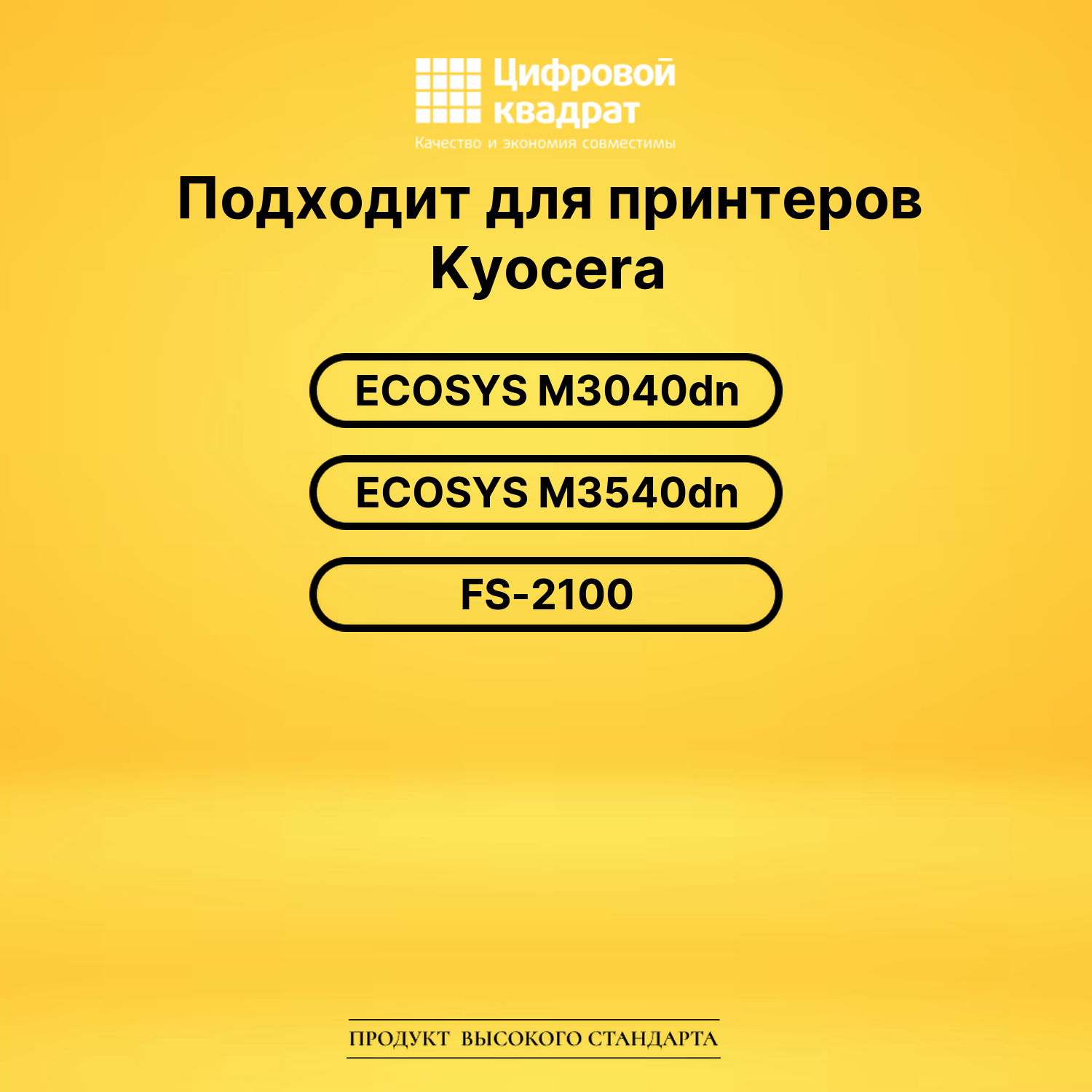 Картридж DS DK-3100 Kyocera черный 2
