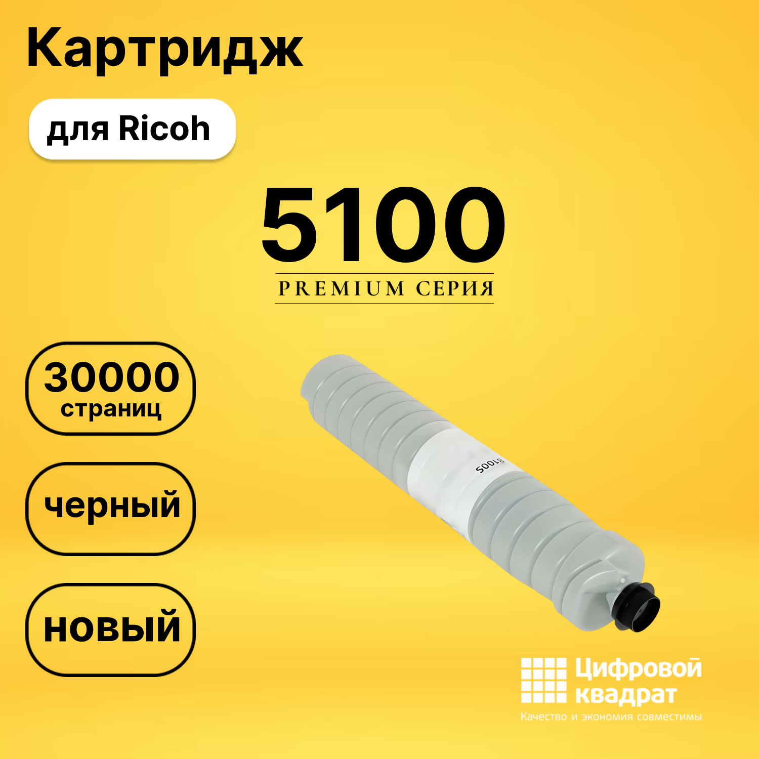 Картридж DS 5100 Ricoh черный