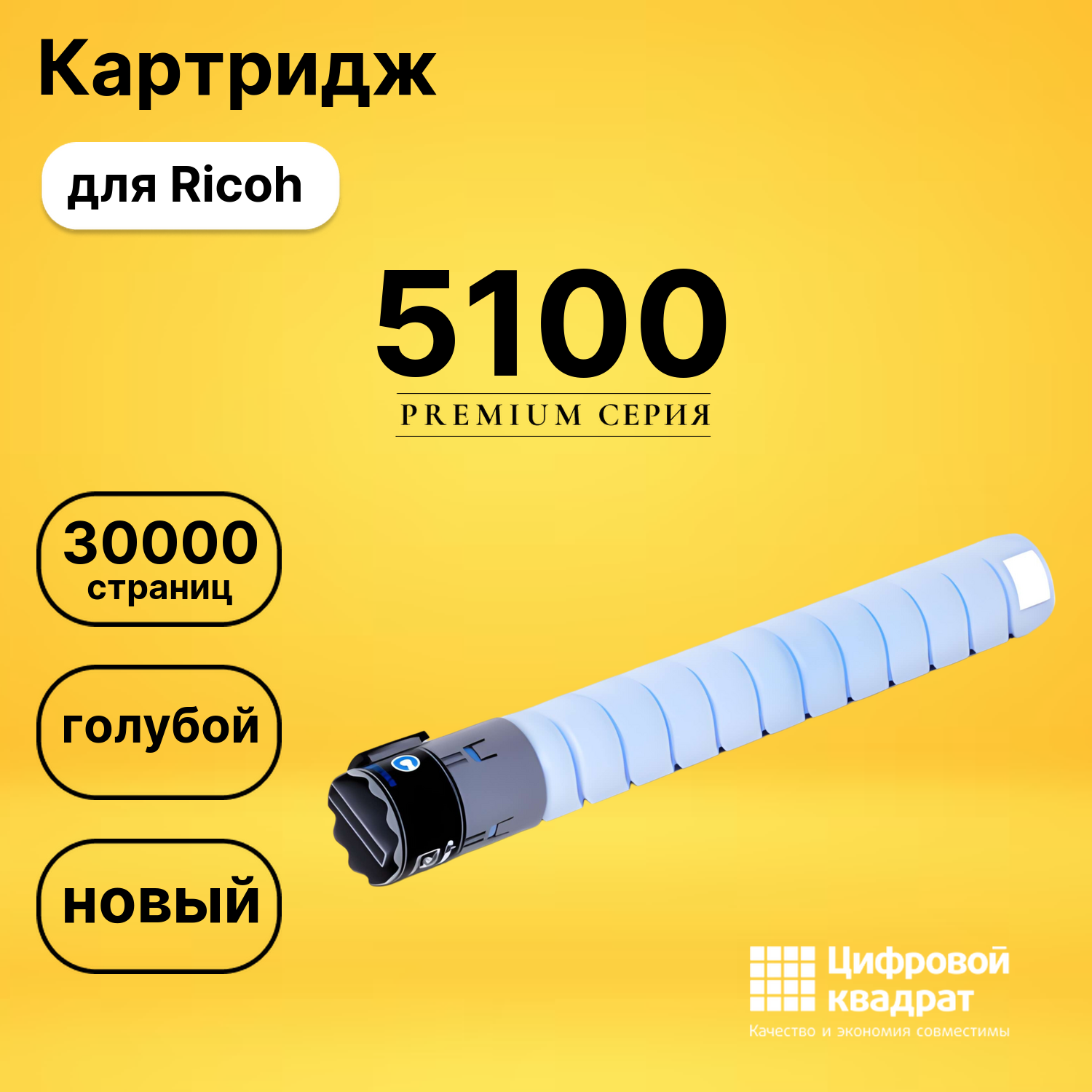 Картридж DS 5100 Ricoh голубой