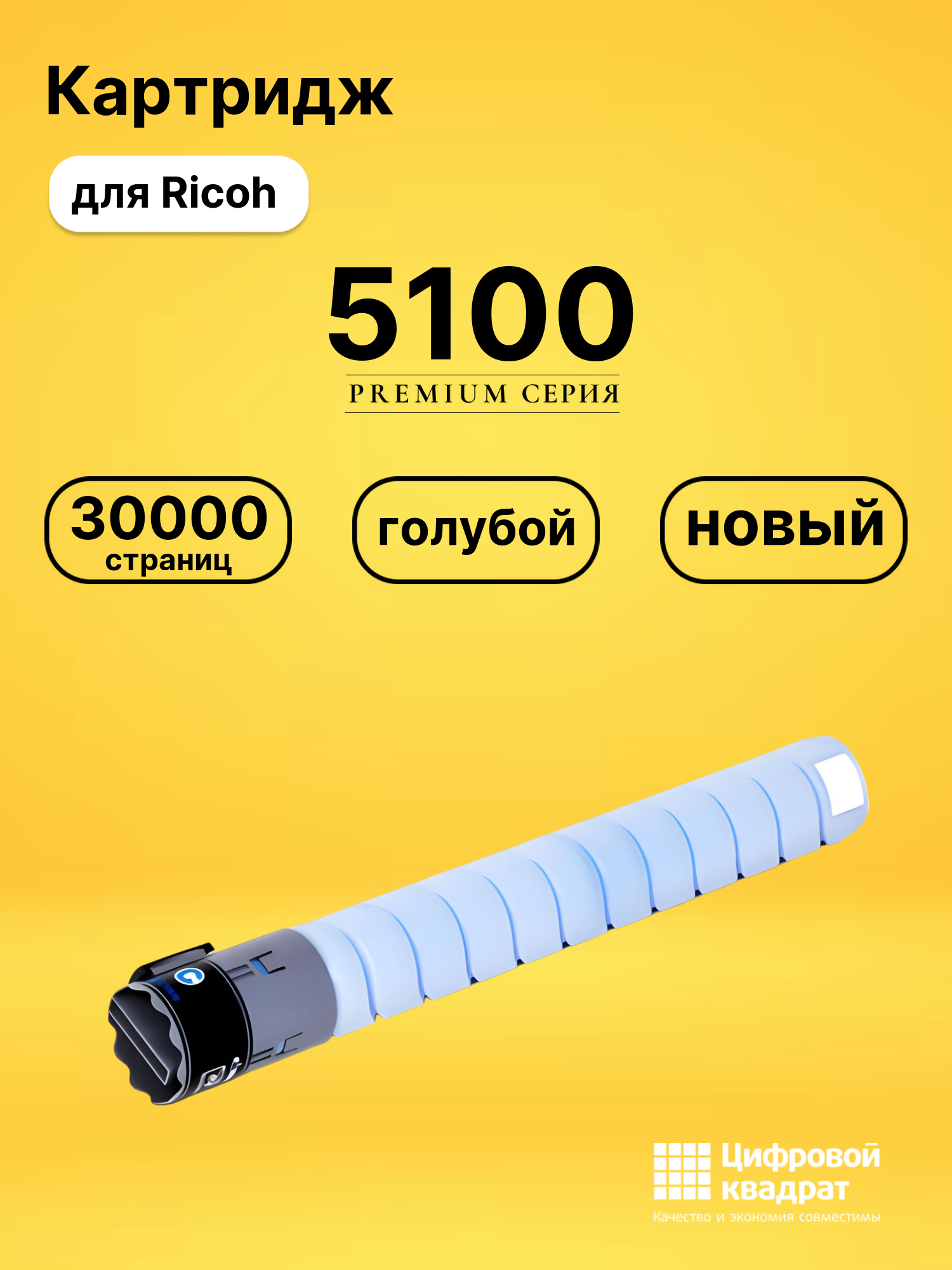 Картридж DS 5100 Ricoh голубой