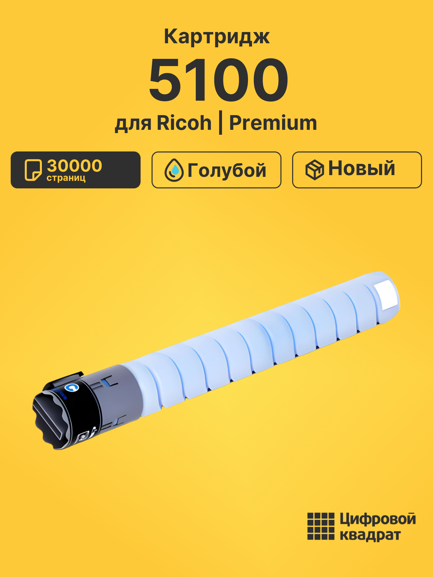 Картридж DS 5100 Ricoh голубой